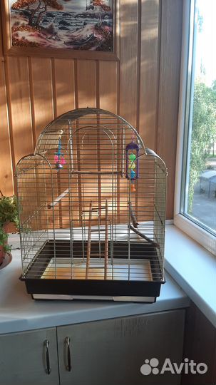 Клетка для среднего попугая