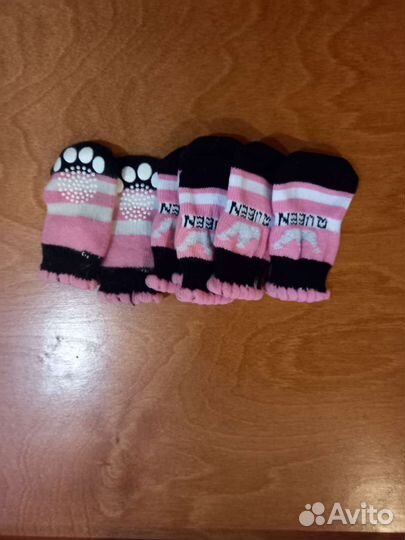 Одежда для собак мелких пород