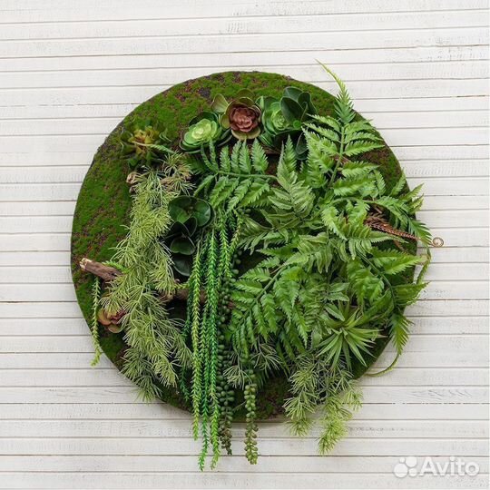 Фитокартина круглая 60 см