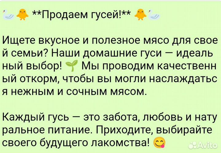 Продам гусей