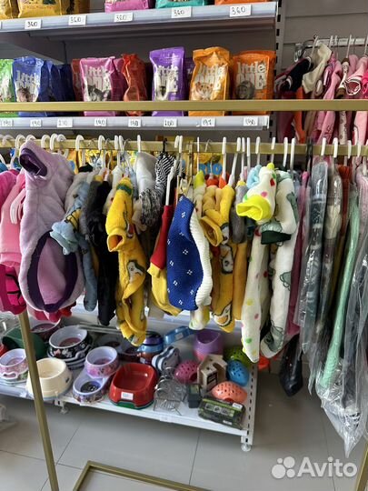 Одежда для собак