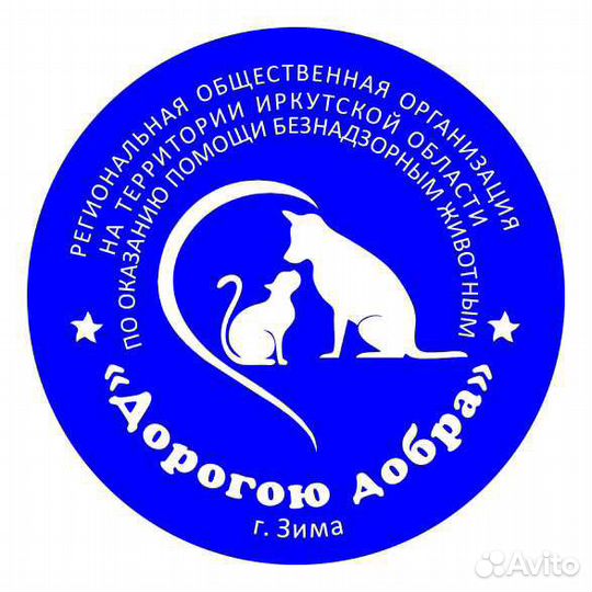 Собаки бесплатно в добрые руки