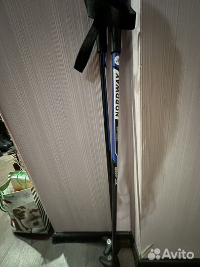 Лыжные палки