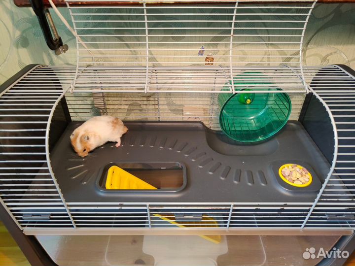 Клетка для хомячка Geneva (Savic)