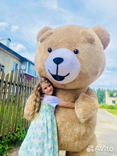 Аэромишка Тэдди поздравление Мишка Аниматор