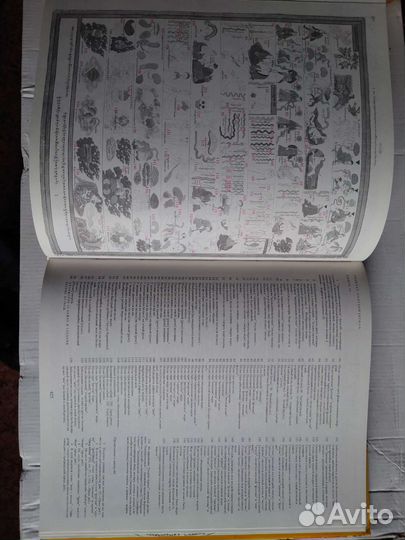 Атлас Тибетской медицины