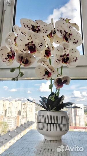 Орхидея искусственная