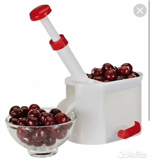 Вишнидавилка