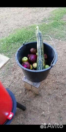 Корморезка