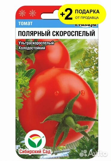 Рассада болгарского перца,томатов и томатов черри