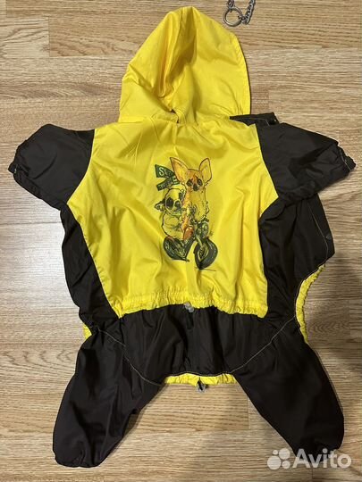 Дождевик для собак, ошейник и намордник