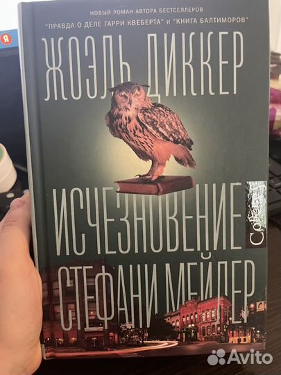 Исчезновение Стефани Мейлер