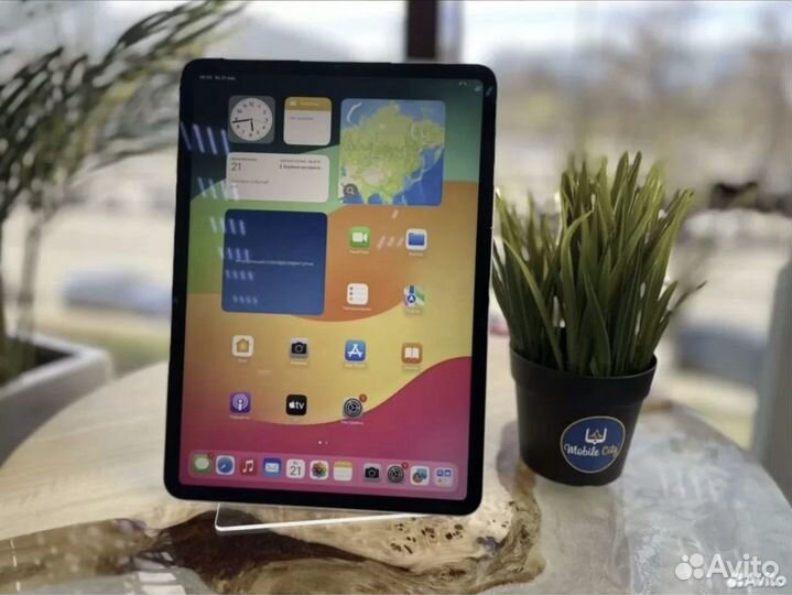 iPad Pro 11