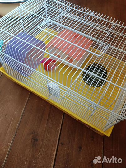 Клетка для хомяка и переноска в подарок