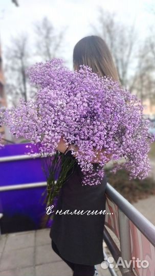 Цветы, букеты с доставкой гипсофилы