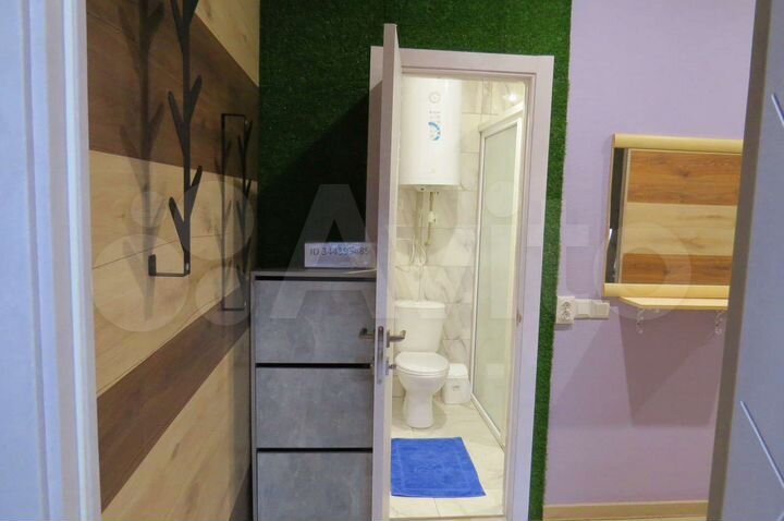 1-к. квартира, 30 м², 1/2 эт.