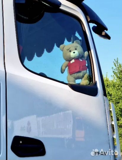 Мишка Тедди