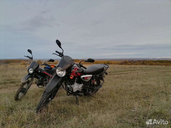 Bajaj Boxer 150x disk