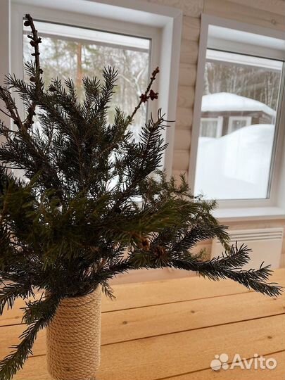 Аренда теплой беседки на 15 человек