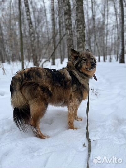 Нежная Рокси хочет в настоящий дом
