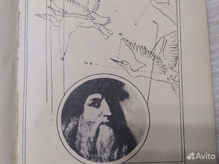 Книга Дягилева 