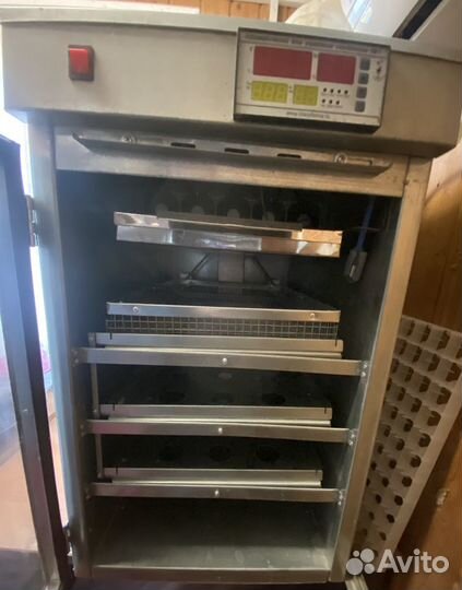 Инкубатор для яиц