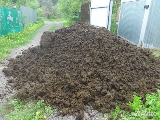 Коровий навоз для огорода