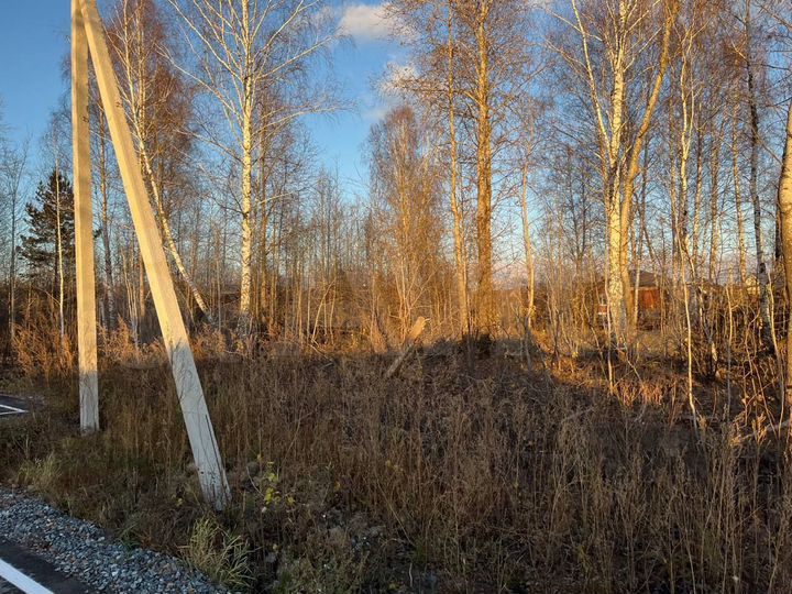 Участок 18,7 сот. (ИЖС)