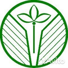 Офис-менеджер со знанием английского языка