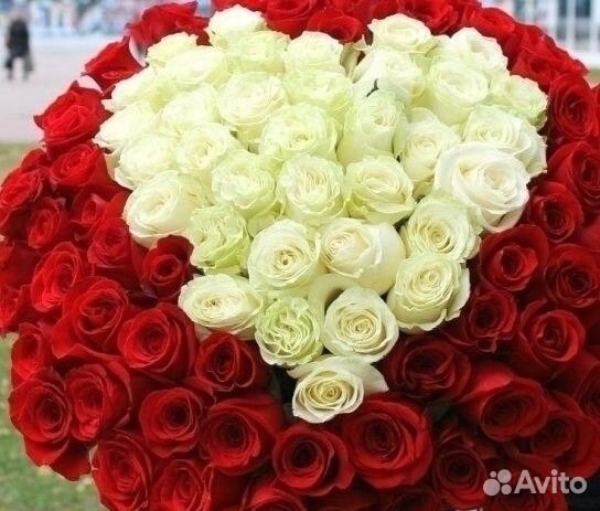 101 Роза Цветы 201 Розы доставка