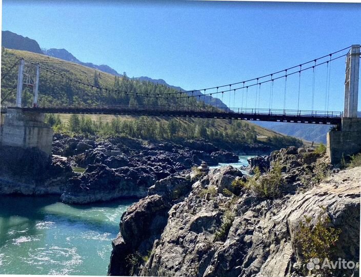 Тур путевка на Алтай летом экскурсия до 8 дн