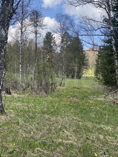 Участок 13,5 га (СНТ, ДНП)