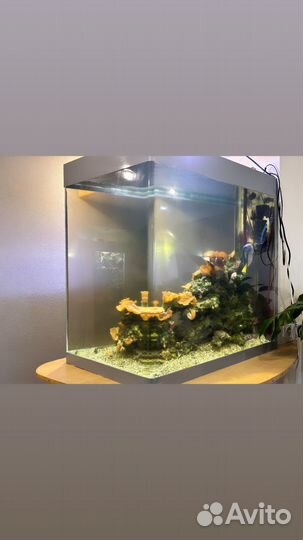 Морской аквариум 450 л