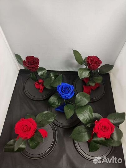 Роза в колбе оптом