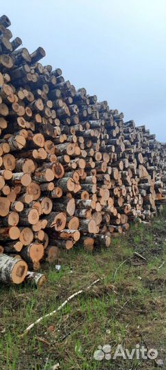 Дрова колотые. Берёза, ольха, осина
