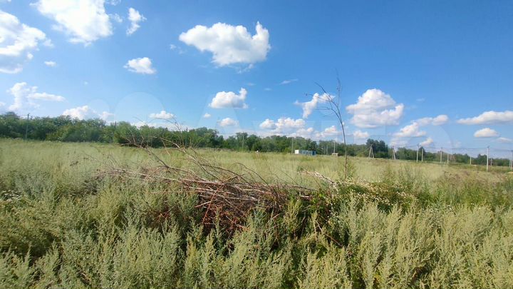 Участок 8,1 сот. (СНТ, ДНП)