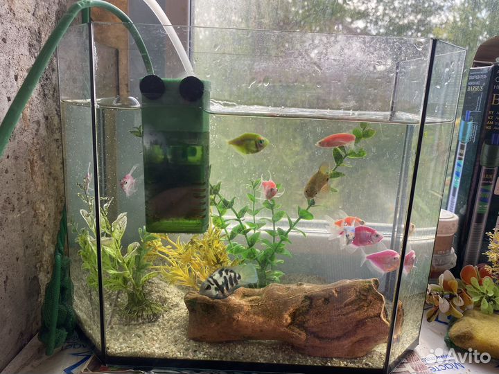 Продам два аквариума