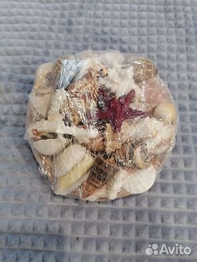 Морской сувенирный набор с ракушками