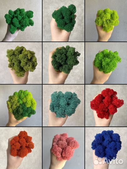 Эко-декор: стабилизированный мох, Фуксия