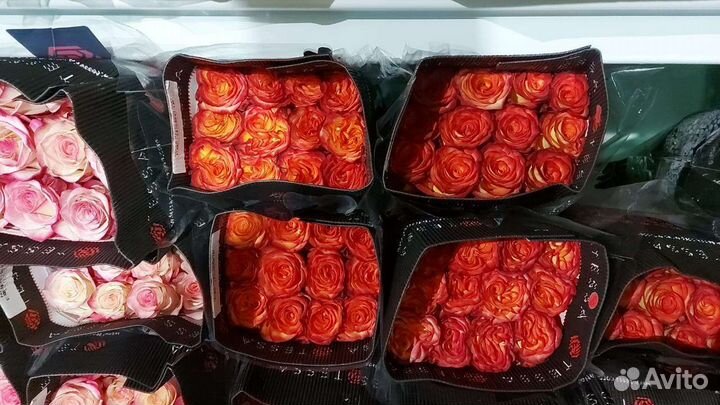 Букет из эксклюзивных крупных роз, цветы оптом