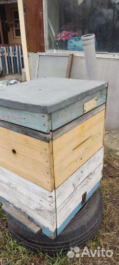 Улей для пчел