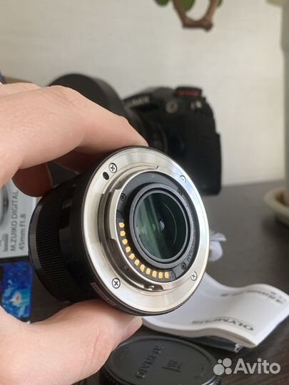 Olympus 45mm f 1.8 micro 4/3
