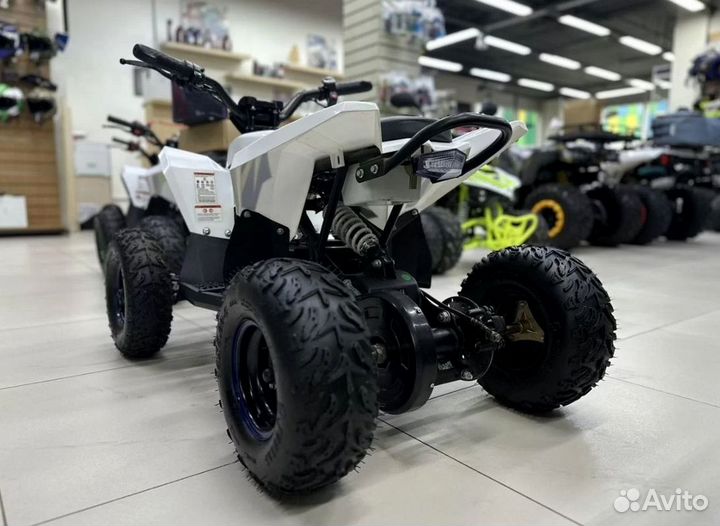 Детский квадроцикл Motax Gekkon 1300W