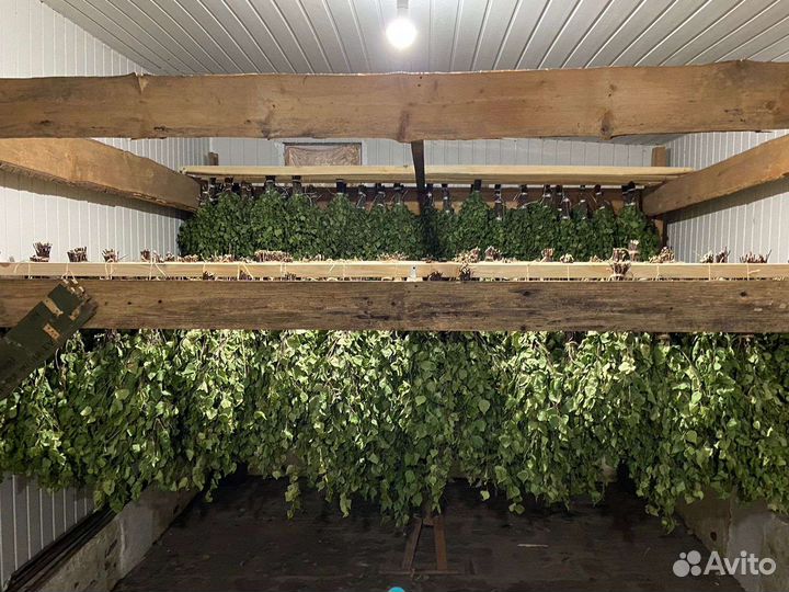 Березовые веники для бани