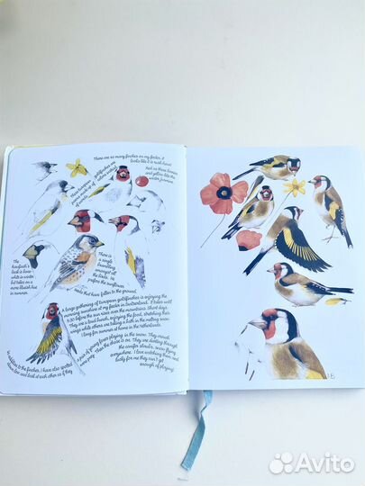 Дневник природы с рисунками Марджолен Бастин