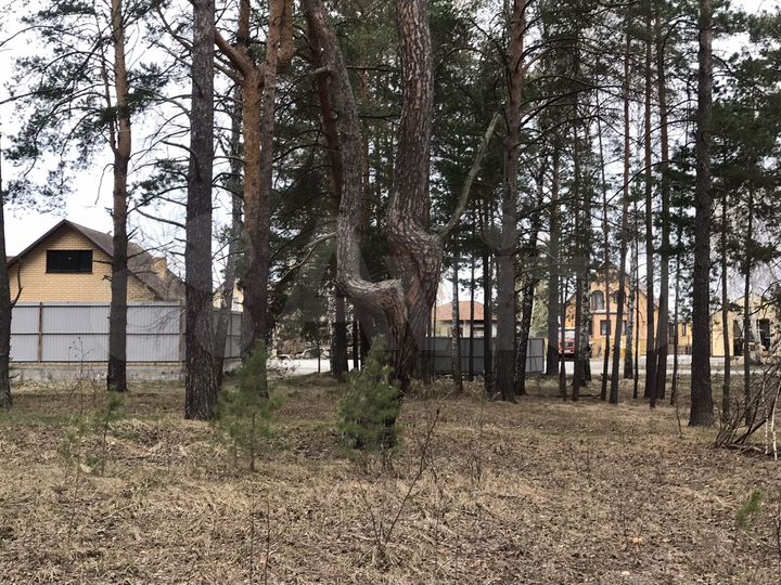 Участок 15 сот. (ИЖС)