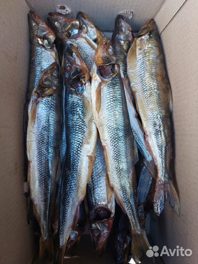 Корюшка холодного копчения