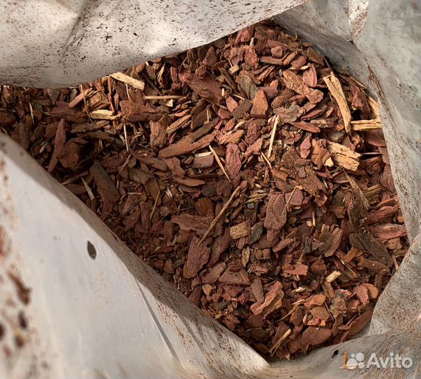 Кора лиственницы