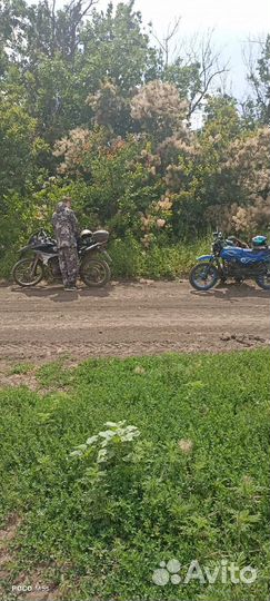Omaks yd250gy