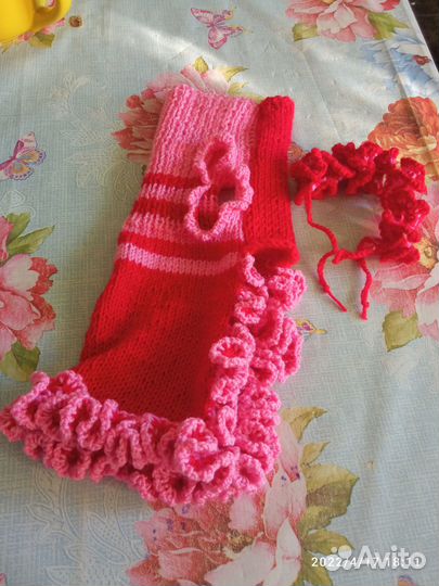 Одежда для собак мелких пород